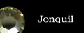 Jonquil