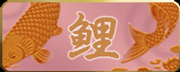 koi / carps
